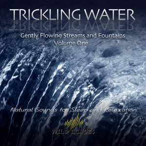 Small Stream Trickle